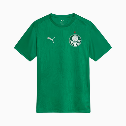 Camisa Palmeiras 2025 – Treino