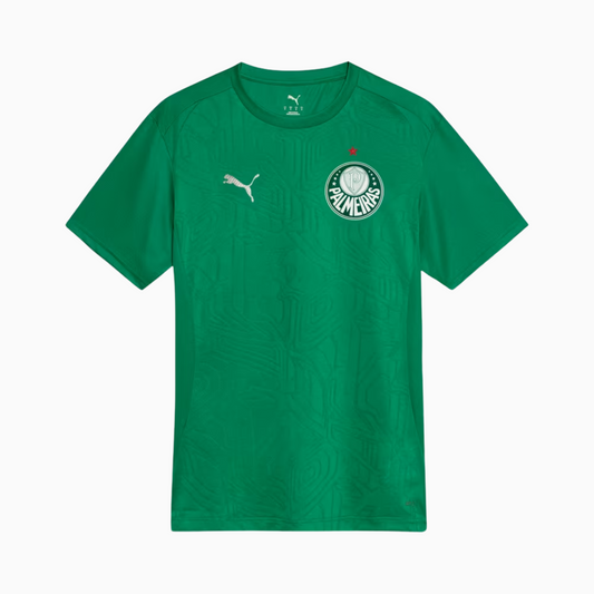 Camisa Palmeiras 2025 – Treino