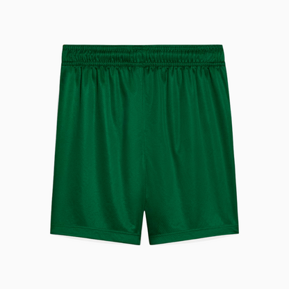 Shorts Palmeiras 2025 II – Torcedor