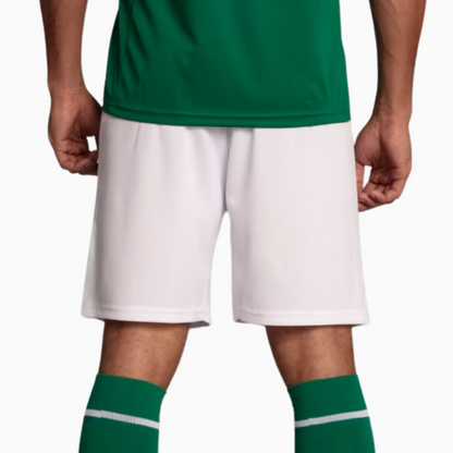 Shorts Palmeiras 2025 I – Torcedor
