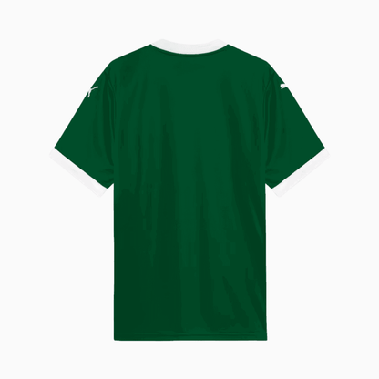 Camisa Puma Palmeiras 2025/26 I - Paulinho N° 10
