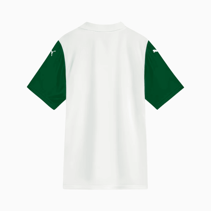 Camisa Puma Palmeiras 2025/26 II Torcedor